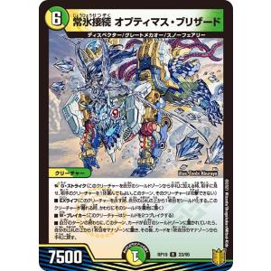 常氷接続 オプティマス・ブリザード R多色 RP19 23/95