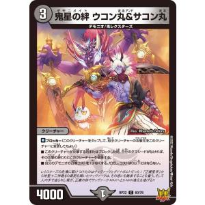 鬼星の絆 ウコン丸&サコン丸 C火 RP22 60/76