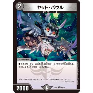 ヤット・パウル C闇 22EX2 62/75の商品画像