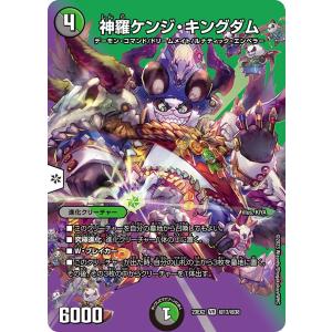 デュエル・マスターズ 堕チシ八叉ノ蛇神 SR多色 25RP1 S11/S11