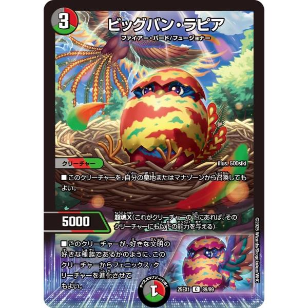 ビッグバン・ラピア C多色 25EX1 89/89