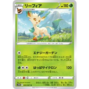 ポケモンカードゲーム ダブルデッキケース リーフィア＆グレイシア