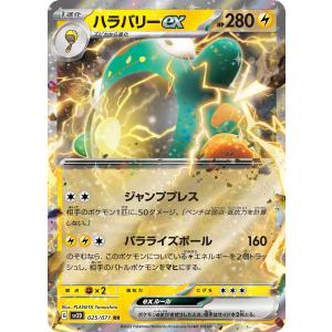 ライチュウ LV.33 ポケモンカード ライチュウ LV.33(フシギダネマーク) [旧裏面] No.026 イントロパック