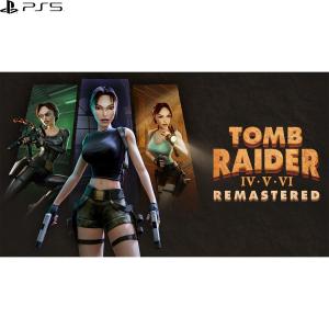 希少 店頭用 トゥームレイダー5 販促ポスター Tomb Raider