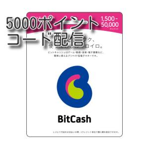 ビットキャッシュ(BitCash) 5000円分　コード通知　土日対応｜丸一商会