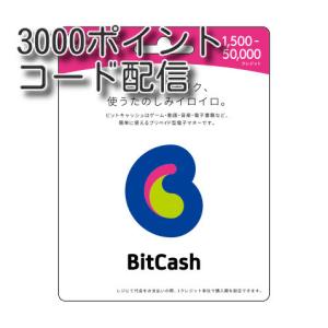 ビットキャッシュ(BitCash) 3000円分　コード通知　土日対応｜丸一商会