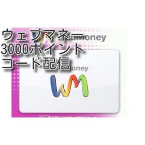 WebMoneyウェブマネー3000円分　コード通知　土日対応