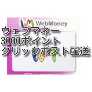 WebMoneyウェブマネー3000円分 (クリックポスト配送) 土日対応