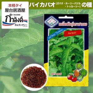 バイカパオ（ガパオ・ホーリーバジル・トゥルシー）の種