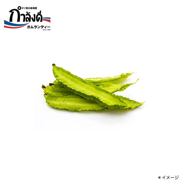 【送料無料】四角豆種子（トアプー・沖縄のうりずん豆・健康野菜・タイ野菜）約５粒