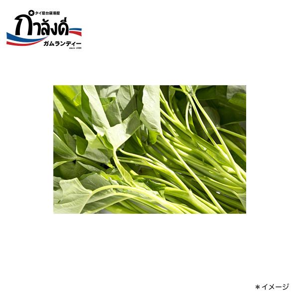 【送料無料】空芯菜種子（クウシンサイ・パクブン・アサガオナ・エンサイ）約30粒