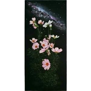 生田宏司　　ＣＯＳＭＯＳ