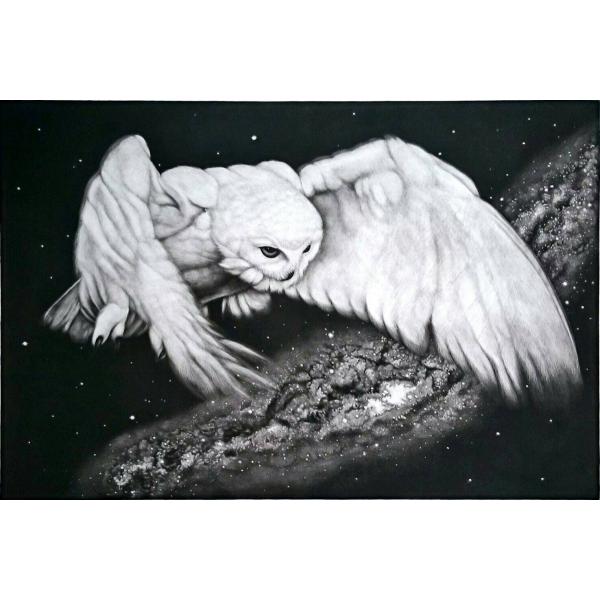 生田宏司　　銀河を翔ぶ