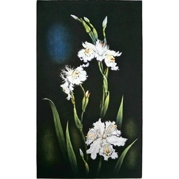 生田宏司　　シャガ