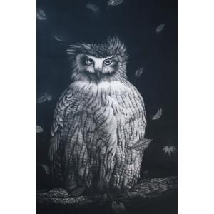 生田宏司「無垢無垢2020」銅版画 メゾチント 額装 ふくろう