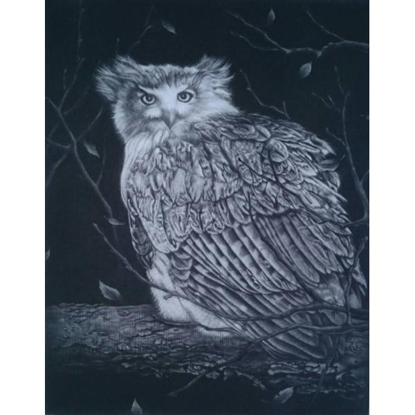 生田宏司　コタンコルカムイ・出会いの間　メゾチント（銅版画）