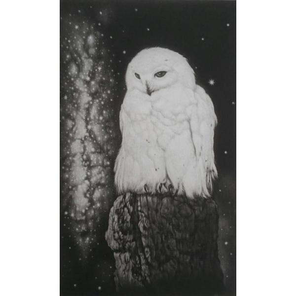 生田宏司　「銀河の滝」　　メゾチント