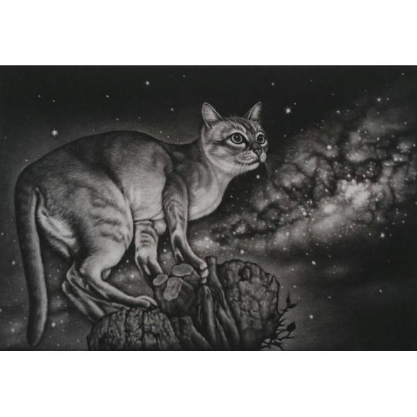 生田宏司　「天の川 III」　　メゾチント