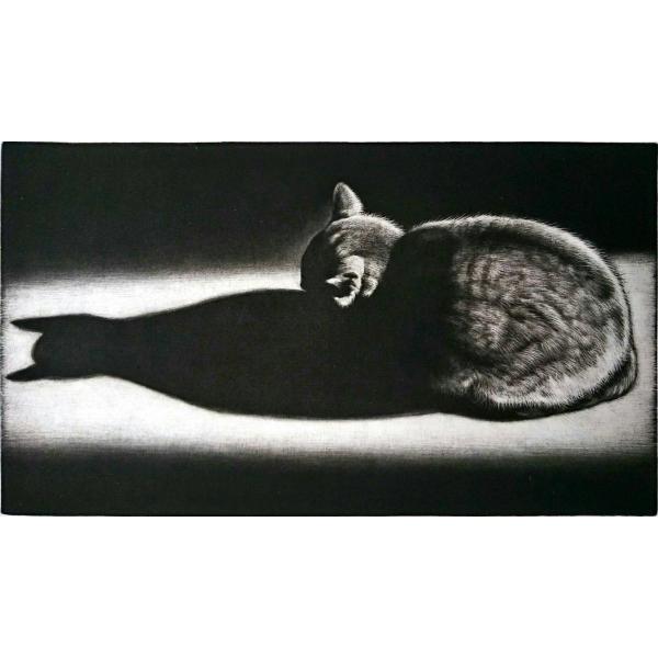 生田宏司　「Shadow」