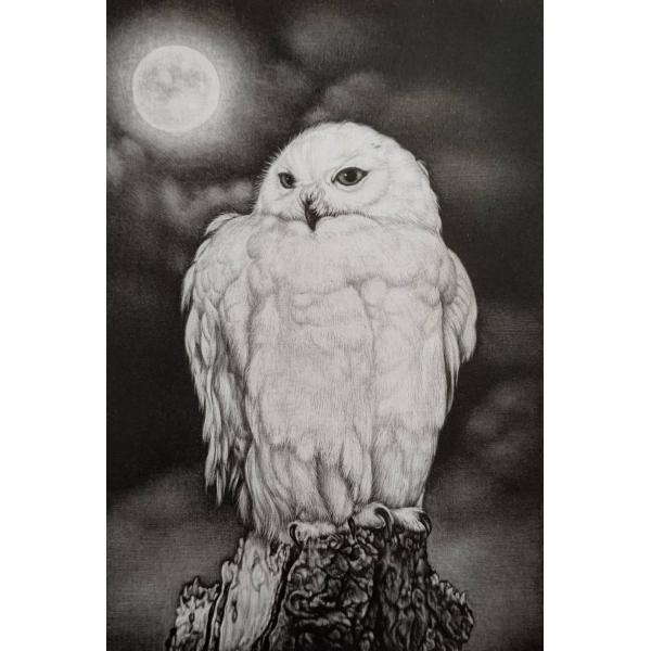 生田宏司　「Full　moon」