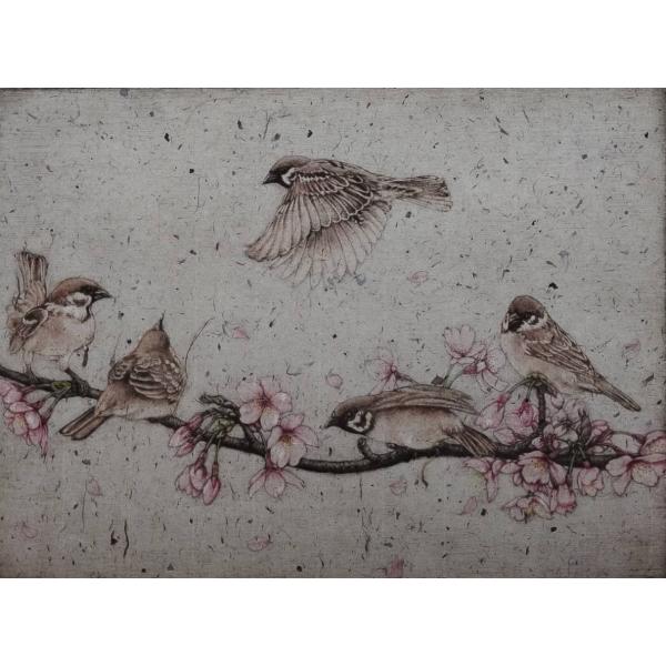 生田宏司　「桜に雀」　和紙にメゾチント手彩色　　　　　　２７０×431mm