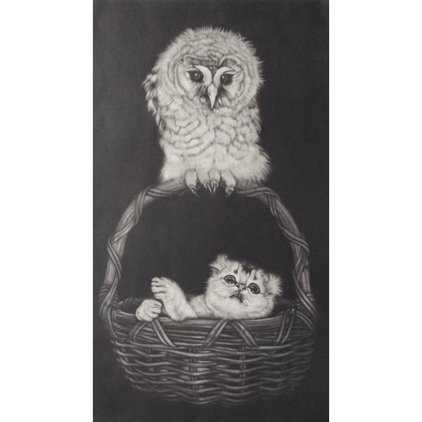 生田宏司　「子猫と子梟」　メゾチント　　　　　　　ドービニー美術館コレクション作品　　　　　　　　　...