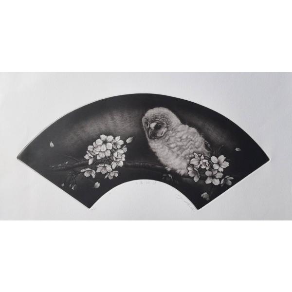 生田宏司　「子梟桜図」　メゾチント　　　　　　　　　ドービニー美術館コレクション作品　　　　　　　　...