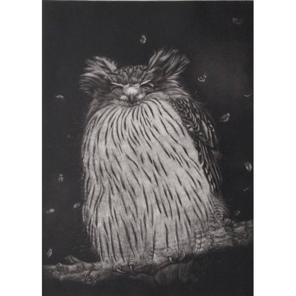 生田宏司　「想」　メゾチント　　　　　　　　　　　　ドービニー美術館コレクション作品　　　　　　　　...