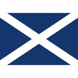 ■東京製旗（株） 東京製旗 国旗Ｎｏ．２（９０×１３５ｃｍ） スコットランド 426351 1枚【207-3855】｜ganbariya-shop