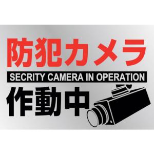 ■緑十字 イラストステッカー標識 防犯カメラ作動中 貼−１３３ １５０×２２０ｍｍ ２枚組 ＰＥＴ 047133 1組｜ganbariya-shop