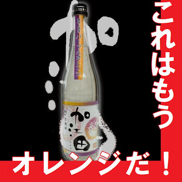お歳暮 2025 芋焼酎 加江田パープルオレンジ　720ml（宮崎県産地酒）限定品