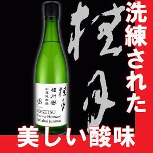 お歳暮　ギフト　2022　日本酒　桂月　山廃純米酒　相川誉　720ml（高知県地酒）(K)(B)｜gancho