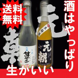 金土日は全品ポイントアップ　母の日　ギフト　2023　冷酒　吟醸生酒　篁　元朝生梅酒　720mlセット｜gancho