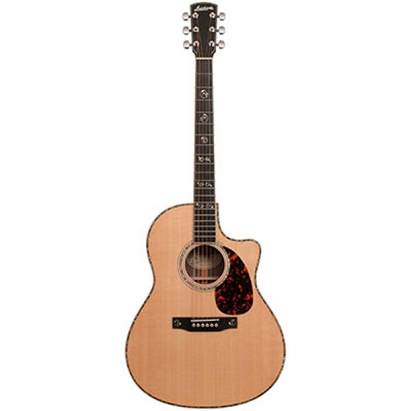 ラリビー アコースティックギター Larrivee Acoustic Guitar LV-10 RW