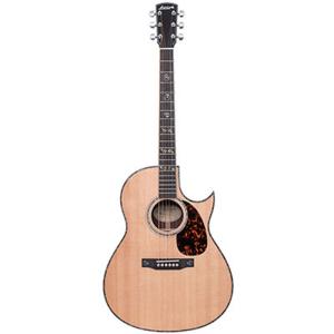 MARTIN（マーティン） 《限定生産》Martin SC-10E Spruce《アコギ