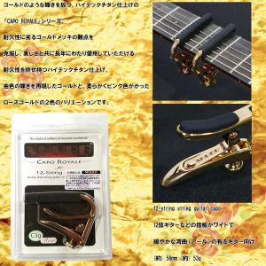 SHUBB C3g-Rose High tec...の詳細画像1