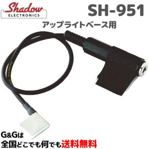 15日までポイントUP】ARIA アップライトベースSWBシリーズ専用スタンド