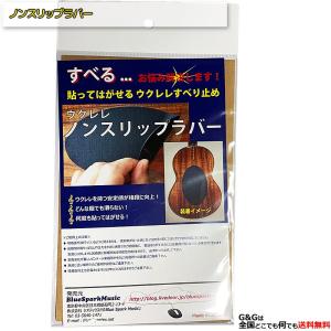 Pignose PGS-800 専用交換弦 / ピグノーズ アンプ内蔵ギター専用に予め