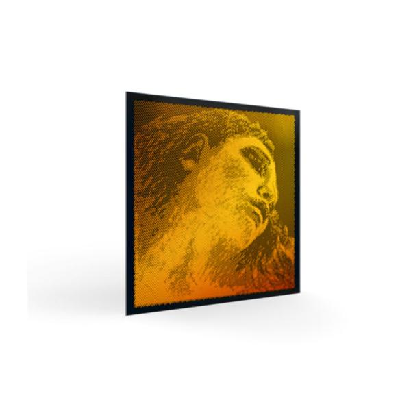 PIRASTRO バイオリン弦 EVAH PIRAZZI GOLD E線 Loop 3155 ステン...