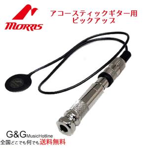 アコギ用　ピックアップ・シールド・アンプ SHADOW アコースティックギター用デュアル・エンドピン