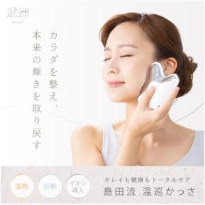 限定数終了後、値上げとなります! 新品 島田流...の詳細画像1
