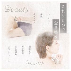 限定数終了後、値上げとなります! 新品 島田流...の詳細画像2