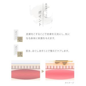 限定数終了後、値上げとなります! 新品 島田流...の詳細画像4