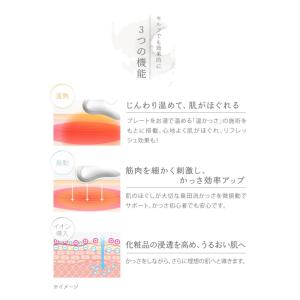 限定数終了後、値上げとなります! 新品 島田流...の詳細画像5