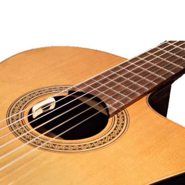 L.R.Baggs エルアールバッグス  クラシックギター用 ピックアップ アンセム Anthem ...