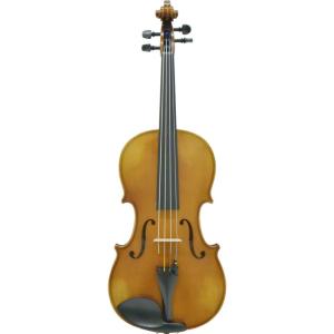 カルロジョルダーノ ビオラセット VL-2 15.5