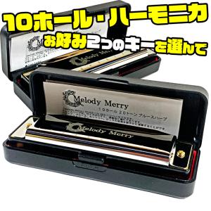 ハーモニカ 初心者 S.YAIRI SYH20 (S.ヤイリ 単音 10穴 長調