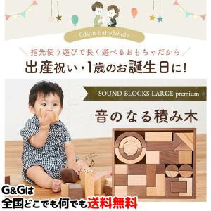 知育玩具 木のおもちゃ SOUNDブロックスLarge プレミアム 10ヶ月 1歳 2歳 Edute(エデュテ） 木製 赤ちゃん 知育 ベビー プレゼント 玩具 室内 ORG-020｜gandgmusichotline