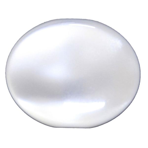 シャーラー スモールペグボタン  Small Perloid Button KZ (1set)