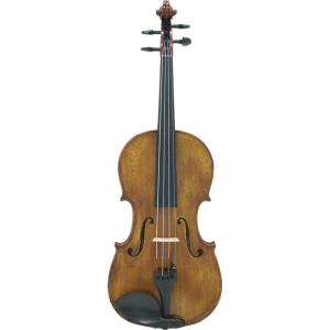 カルロジョルダーノ ビオラセット VL-2 15.5